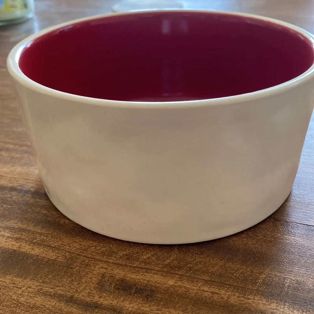Rae Dunn “devour” pet bowl